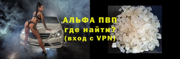 крисы Губаха