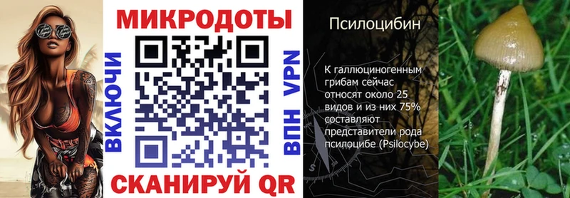 хочу наркоту  Кингисепп  Галлюциногенные грибы мухоморы 